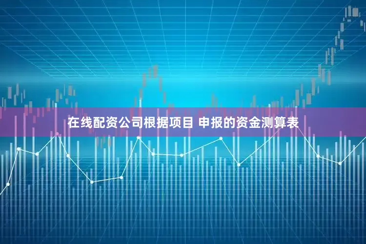 在线配资公司根据项目 申报的资金测算表