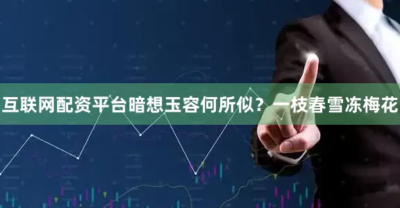 互联网配资平台暗想玉容何所似？一枝春雪冻梅花