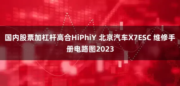 国内股票加杠杆高合HiPhiY 北京汽车X7ESC 维修手册电路图2023