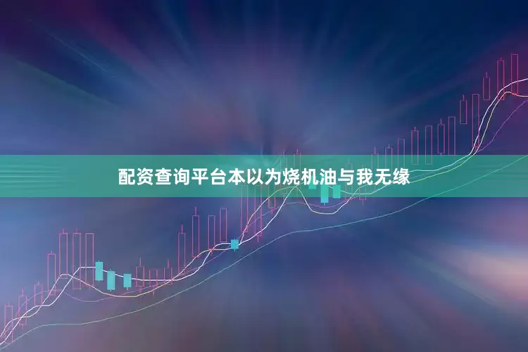 配资查询平台本以为烧机油与我无缘