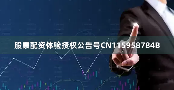 股票配资体验授权公告号CN115958784B