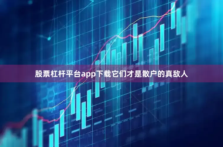 股票杠杆平台app下载它们才是散户的真敌人